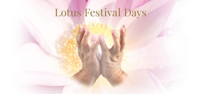 Lotus Festival 2021