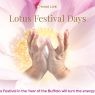 Lotus Festival 2021
